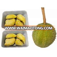 NEW!! Thai Ao Chi Frozen Durian " Golden Pillow " 450 gram from Thailand . High quality Durian monthong ; Frozen durian